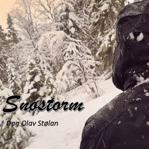 Cover for Snøstorm
